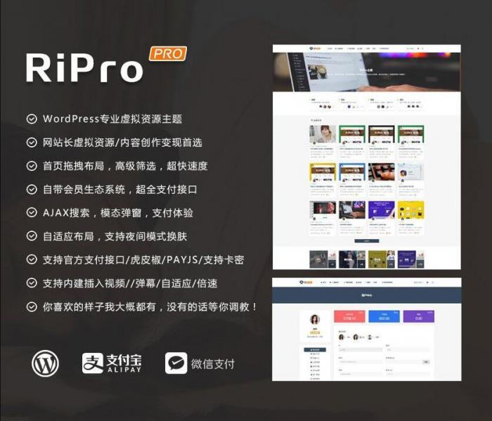 RIPro主题 v7.2 免授权修复后门完美版-A5资源网