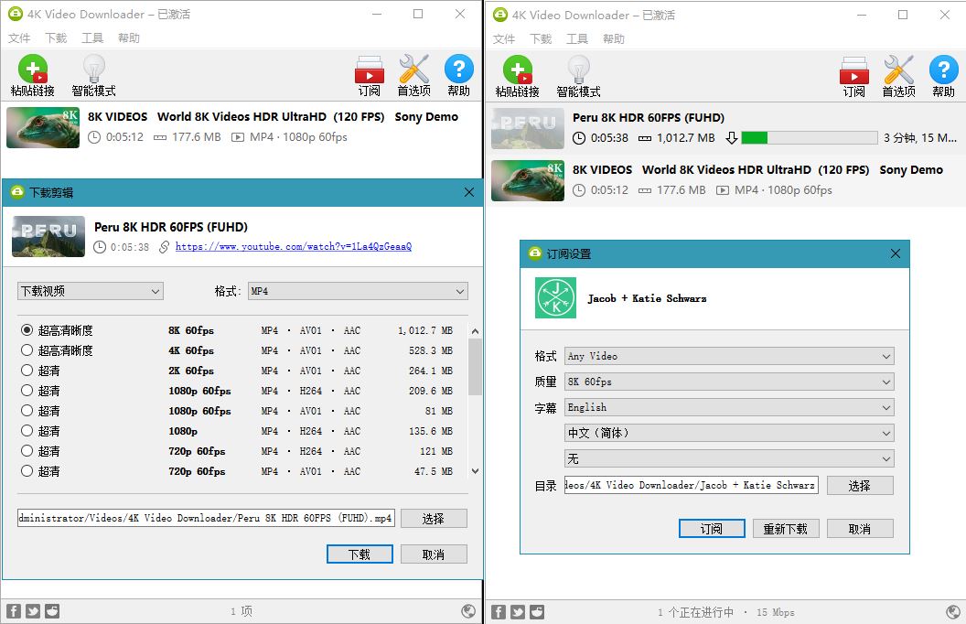 4K Video Downloader v4.20.1 4K视频下载器-A5资源网