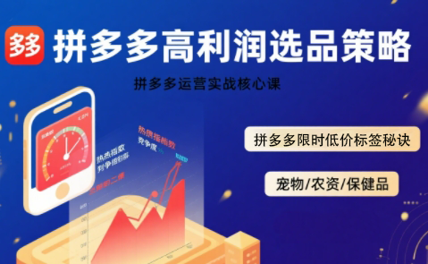 久号老师&middot;拼多多选品暴利技术实战课 - A5资源网