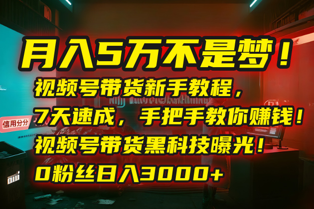 月入5万不是梦！视频号带货新手教程，7天速成，手把手教你赚钱！视频号… - A5资源网