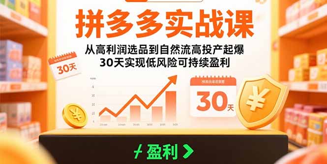 拼多多实战课：从高利润选品到自然流高投产起爆 30天实现低风险可持续盈利 - A5资源网