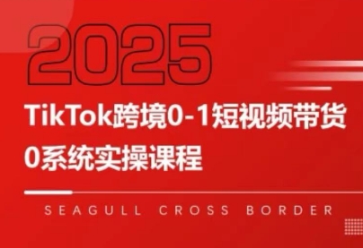 大亿老师&middot;TikTok跨境0-1短视频带货 - A5资源网