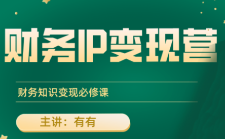 有有老师·财务IP变现营,财务知识变现必修课 - A5资源网 有有老师·财务IP变现营,财务知识变现必修课 - A5资源网