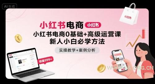 小红书电商0基础+高级运营课，新人小白必学方法，实操教学+案例分析-小红泡