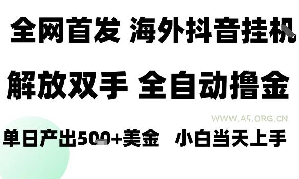 海外抖音无人直播，单日产出1.5k+，长期稳定，新手可玩，无脑操作【揭秘】-小红泡