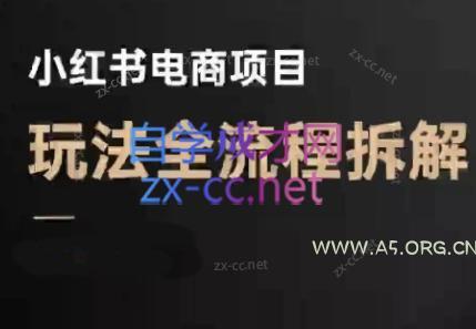 菲菲老师·小红书电商玩法(更新7月)-小红泡
