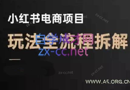 菲菲老师·小红书电商玩法(更新9月)-小红泡