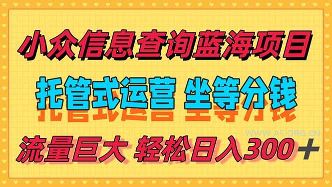 稳定日入300＋，小众信息查询蓝海项目，全程懒人式托管，解放你的时间-小红泡