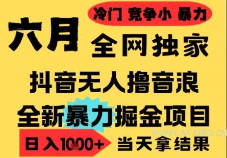 25年6月高爆抖音无人直播最新撸音浪掘金项目，小白可做，无脑日入1k+，门槛低可批量矩阵【揭秘】-A5资源网