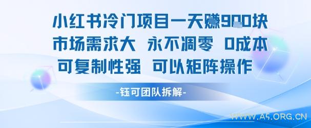 小红书冷门项目一天收益9张，市场需求大，0成本，可复制性强可以矩阵操作-A5资源网