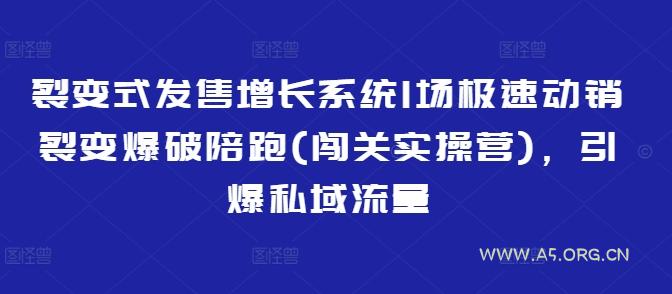 裂变式发售增长系统1场极速动销裂变爆破陪跑(闯关实操营)，引爆私域流量-小红泡