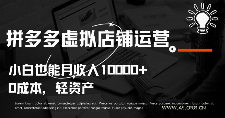 拼多多虚拟店铺运营小白也能月收入10000+【揭秘】-小红泡