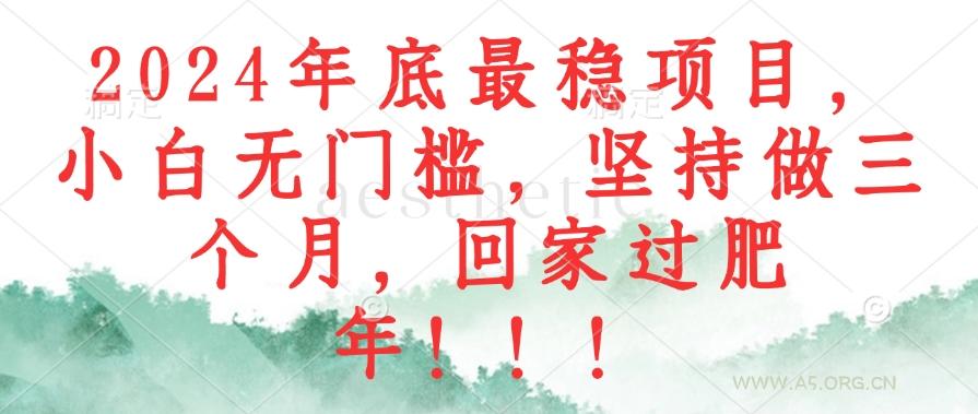 2024年底最稳项目,小白无门槛,坚持做三个月,回家过肥年!!!-A5资源网
