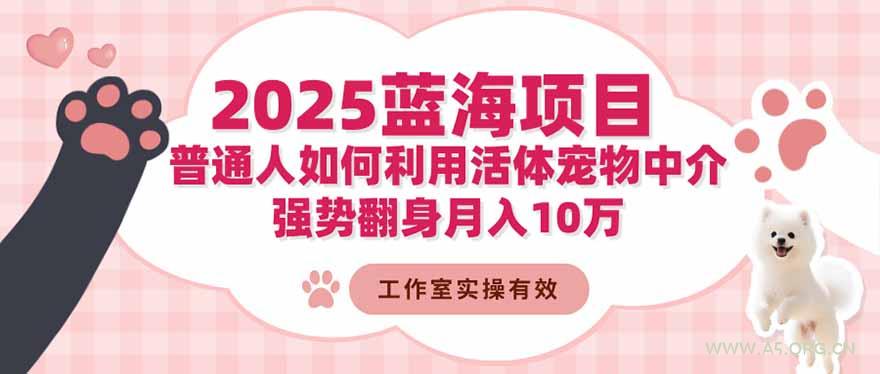 2025蓝海项目：普通人如何利用活体宠物中介，强势翻身月入10万-小红泡