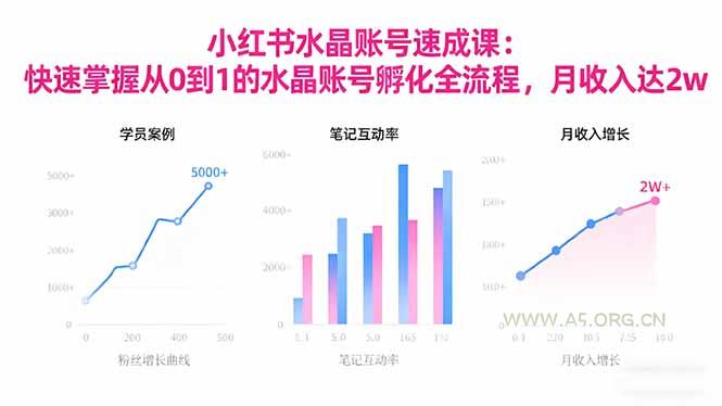2025小红书水晶账号速成课：快速掌握从0-1水晶账号孵化全流程，月收入达2w-小红泡