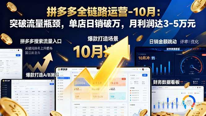 拼多多全链路运营-10月：突破流量瓶颈，单店日销破万，月利润达3-5万元-小红泡