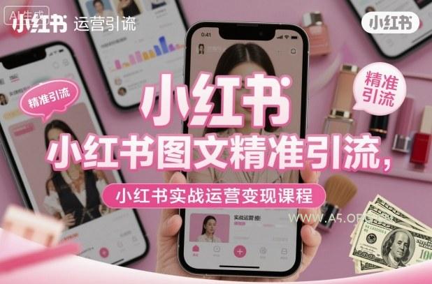 小红书图文精准引流，小红书实战运营变现课程-小红泡