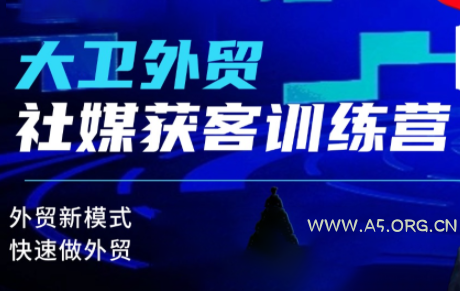 大卫老师·外贸社媒获客独家训练营(更新)-小红泡