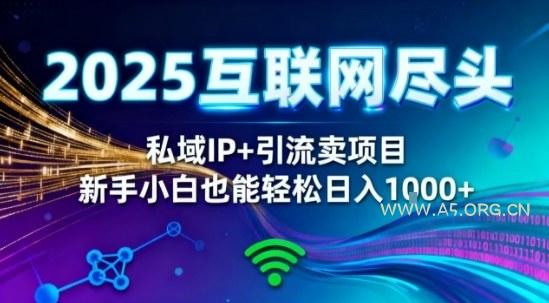 2025网创尽头王炸项目！私域IP+精准引流，新手小白在家躺賺日入1k，零经验也能上手【揭秘】-小红泡