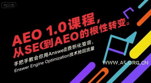 AEO 1.0 课程,从SEO到AE0的基命性转变,手把手教会你用AnswerEngineOptimization技术抢回流量(更新)-小红泡