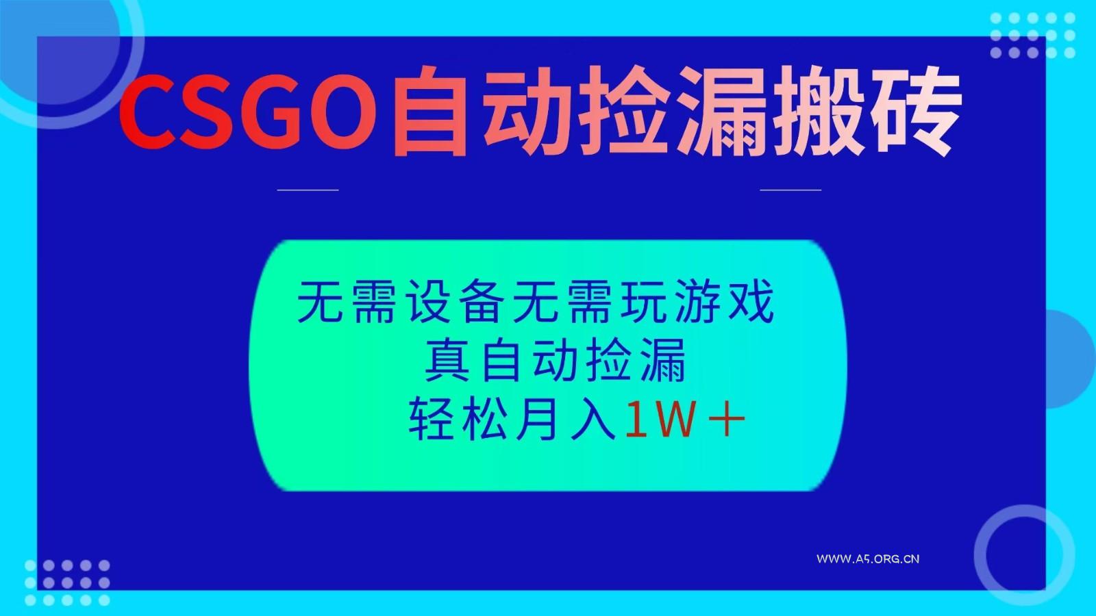 CSGO自动捡漏搬砖，当天操作当天见结果，无需了解游戏，包教包会包落地-小红泡