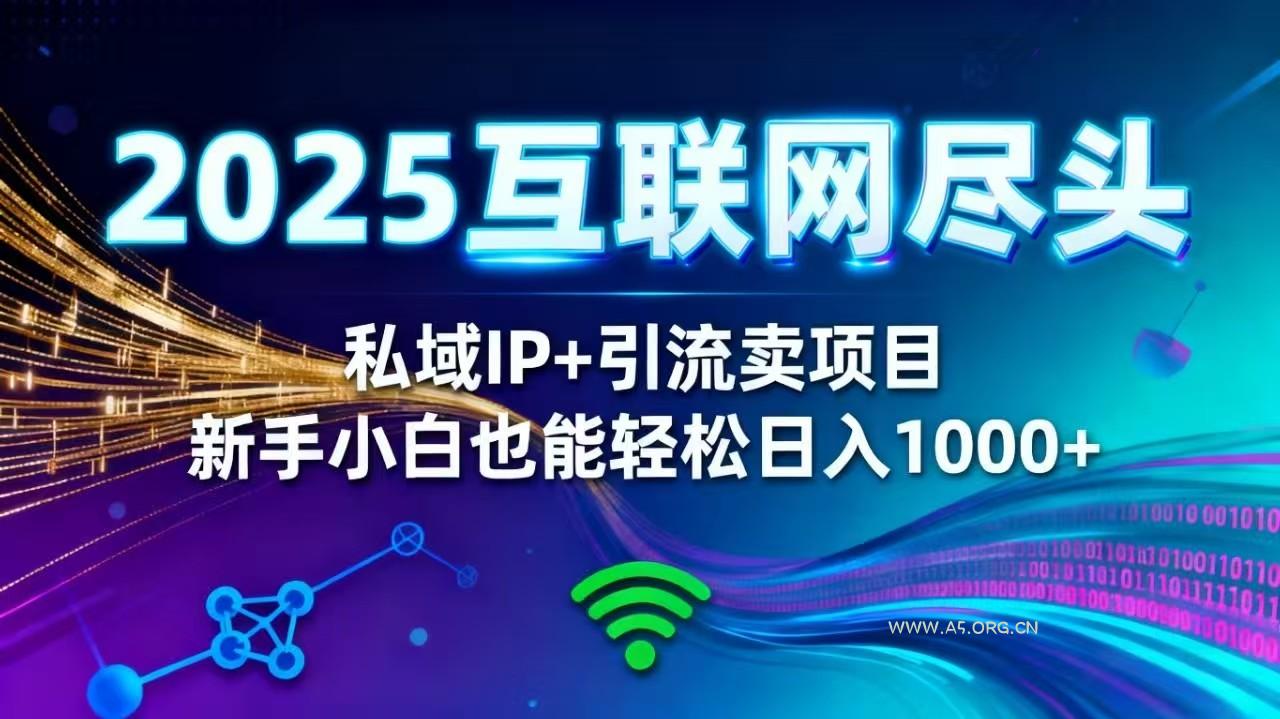 2025网创尽头王炸项目!私域 IP + 精准引流,新手小白在家躺赚日入 1000+-小红泡