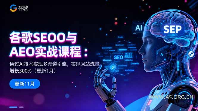 谷歌SEO与AEO实战课程：通过AI技术实现多渠道引流，实现网站流量增长300%-小红泡