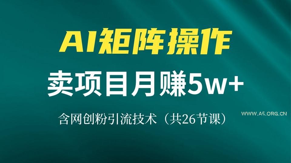 网创IP打造课，借助AI卖项目月赚5万+，含引流技术(共26节课-小红泡