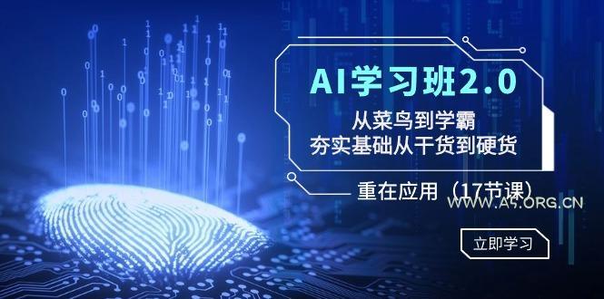 AI学习班2.0：从菜鸟到学霸，夯实基础从干货到硬货，重在应用(17节课)-小红泡