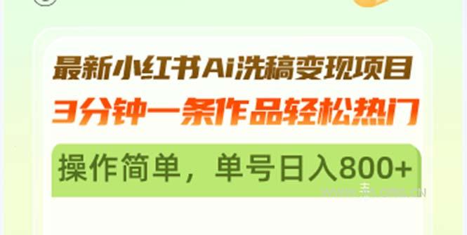 最新小红书Ai洗稿变现项目 3分钟一条作品轻松热门 操作简单，单号日入800+-小红泡