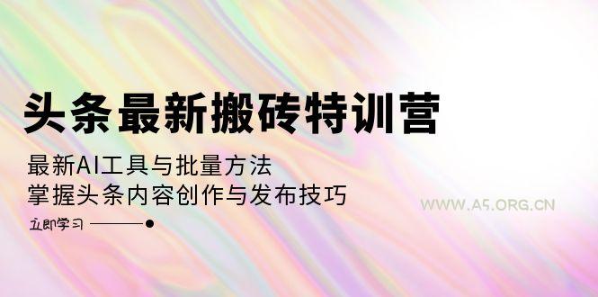 头条最新搬砖特训营:最新AI工具与批量方法,掌握头条内容创作与发布技巧-小红泡