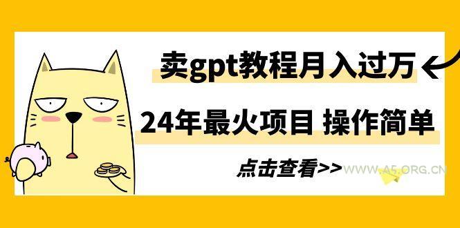 24年最火项目，卖gpt教程月入过万，操作简单-小红泡