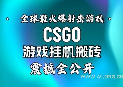 【年底大揭秘】基于全球最火爆的射击CSGO游戏挂G搬砖,日入5张+,震撼公开-小红泡