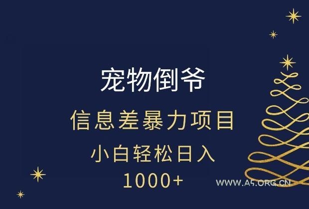 宠物倒爷，暴利的信息差项目，足不出户就有客户，年轻人都喜欢宠物！-小红泡