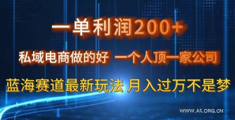 一单利润200私域电商做的好,一个人顶一家公司蓝海赛道最新玩法【揭秘】-小红泡