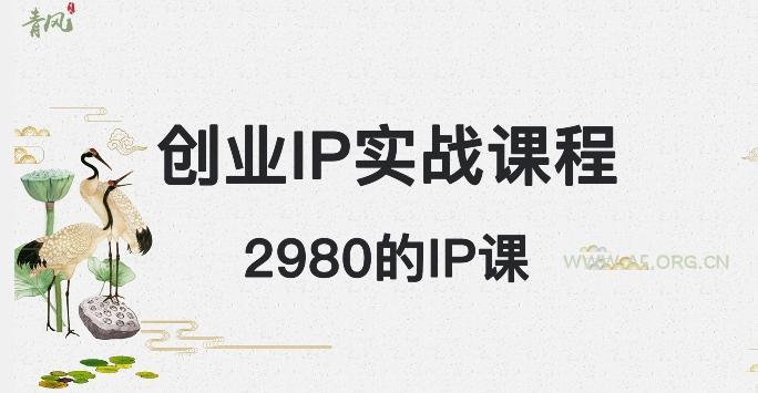 外边卖2980的创业IP课程，做私域月入5w+-小红泡
