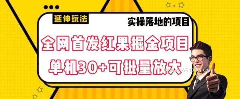 全网首发红果免费短剧掘金项目，单机30+可批量放大【揭秘】-小红泡