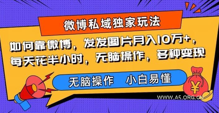 如何靠微博，发发图片月入10万+，‌每天花半小时，无脑操作，多种变现-小红泡