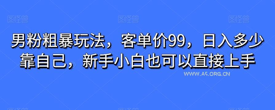 男粉粗暴玩法,客单价99,日入多少靠自己,新手小白也可以直接上手-小红泡
