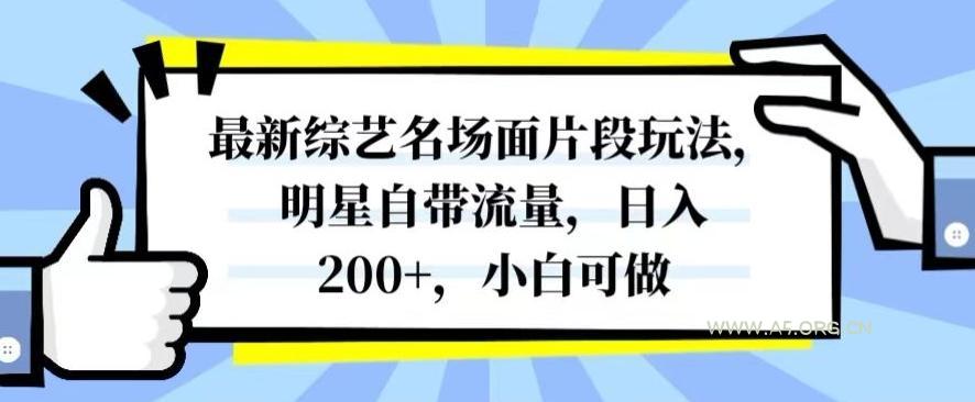 最新综艺名场面片段玩法,明星自带流量,日入200+,小白可做【揭秘】-小红泡