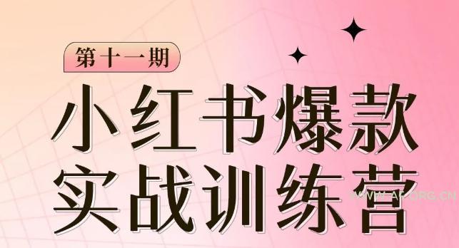 小红书博主爆款训练营第11期，手把手教你从0-1做小红书，从定位到起号到变现-小红泡