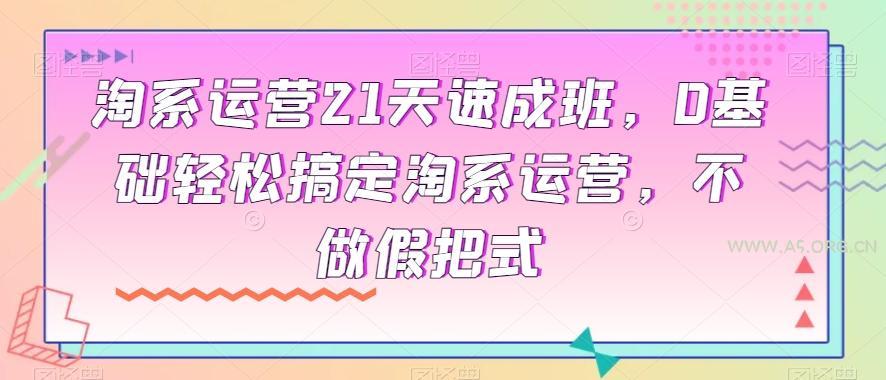 淘系运营21天速成班，0基础轻松搞定淘系运营，不做假把式-小红泡