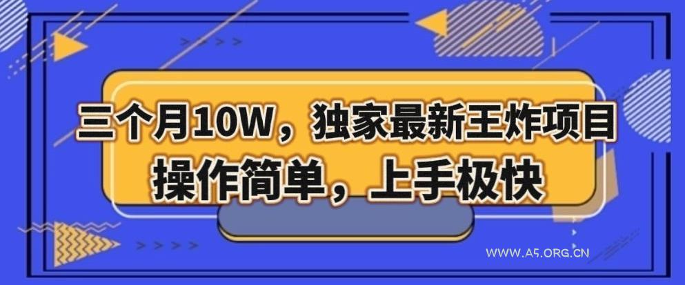 三个月10W，独家最新王炸项目！操作简单，上手极快【揭秘】-小红泡