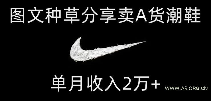 靠图文种草分享卖A货潮鞋,每天一小时,单月收入2万+【揭秘】-小红泡