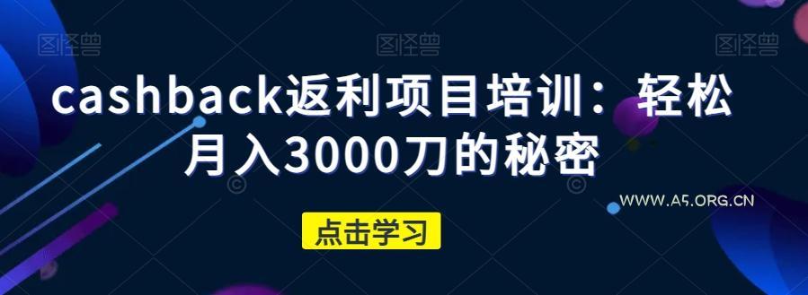 cashback返利项目培训:轻松月入3000刀的秘密-小红泡