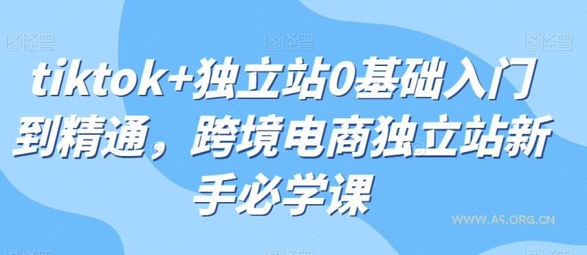 tiktok+独立站0基础入门到精通,跨境电商独立站新手必学课-小红泡