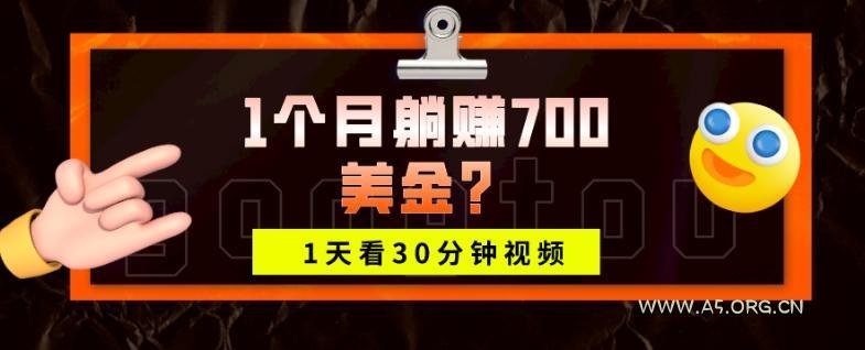1天看30分钟视频,1个月躺赚700美金?-小红泡