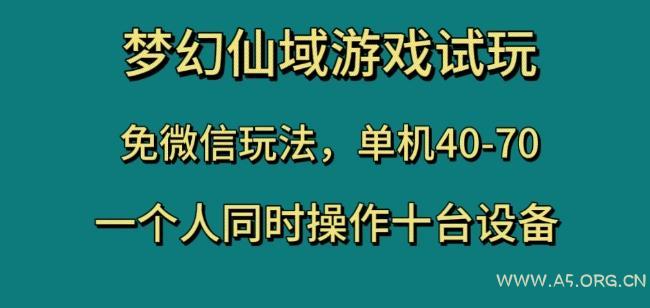 梦幻仙域游戏试玩，免微信玩法，单机40-70，一个人同时操作十台设备【揭秘】-小红泡