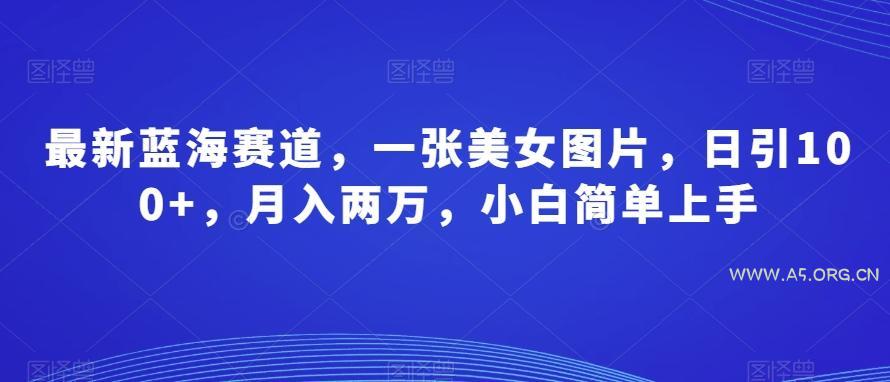 最新蓝海赛道，一张美女图片，日引100+，月入两万，小白简单上手-小红泡