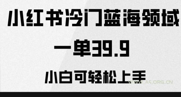 小红书冷门蓝海领域，一单39.9，小白可轻松上手-小红泡